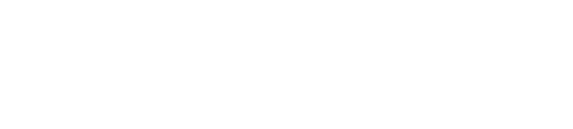 brusselsairlines.png